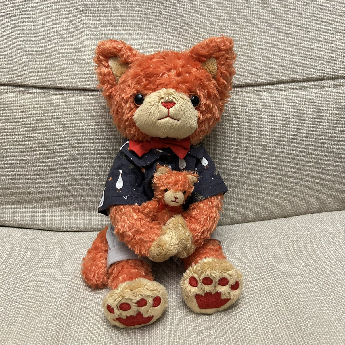 メロディ🌹 tweet media