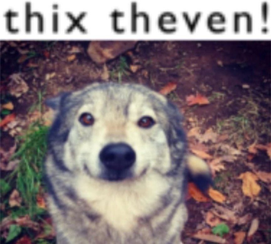 Taco Demon tweet media