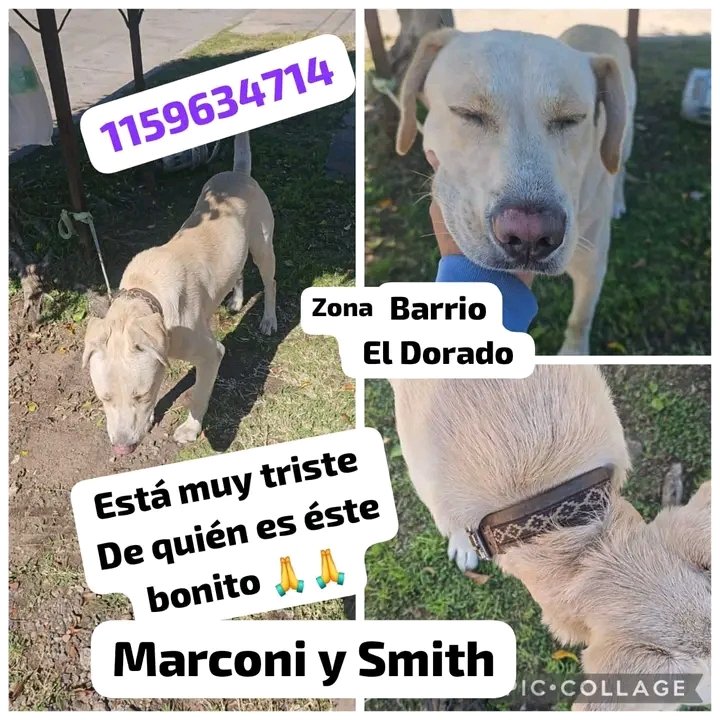 Jimena Torres ⭐️⭐️⭐️ tweet media