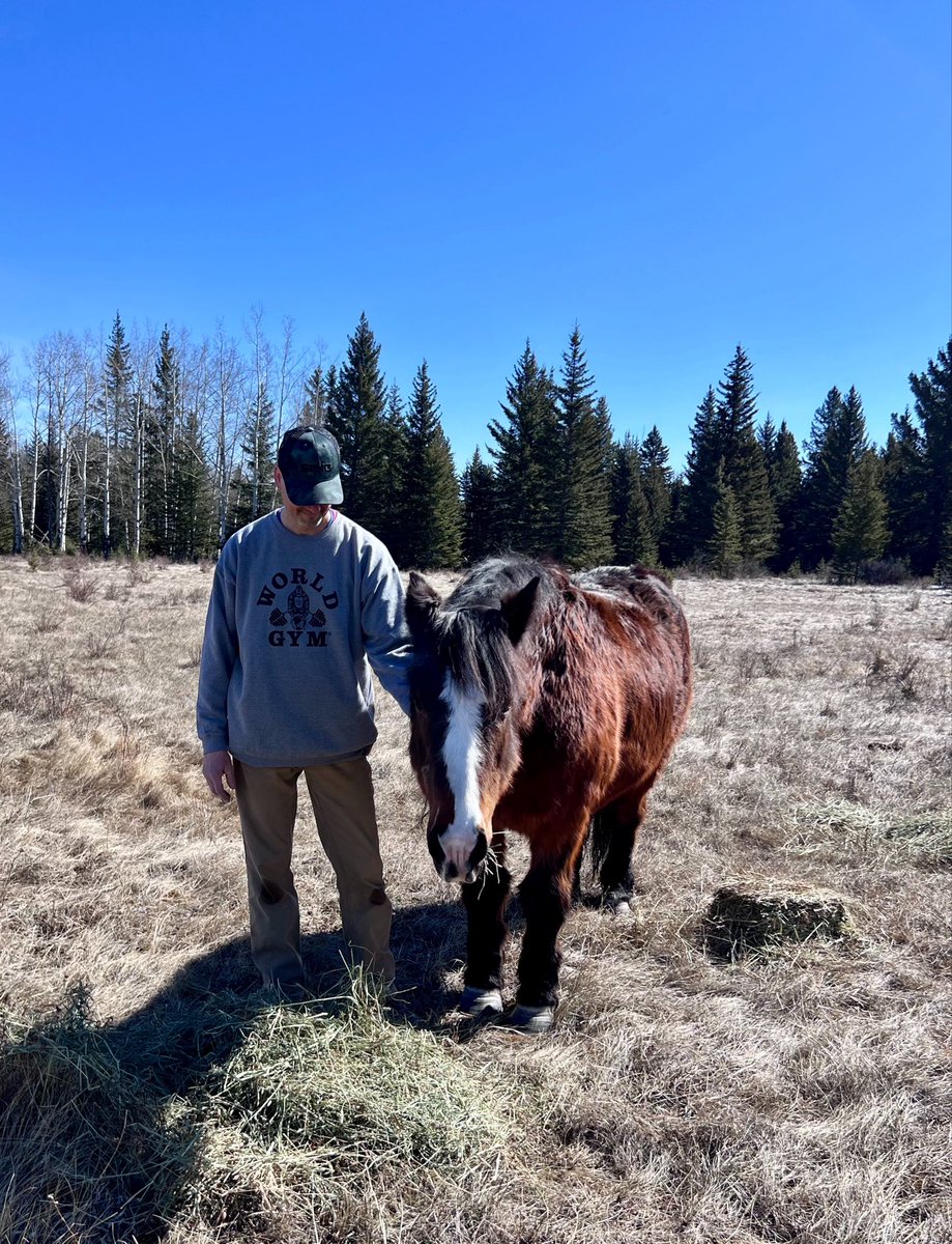We made a trip out to find Windy, the feral mare, to give her a couple bales of hay &amp; some treats.  She’s doing fantastic &amp; she’s now a happy horse!!