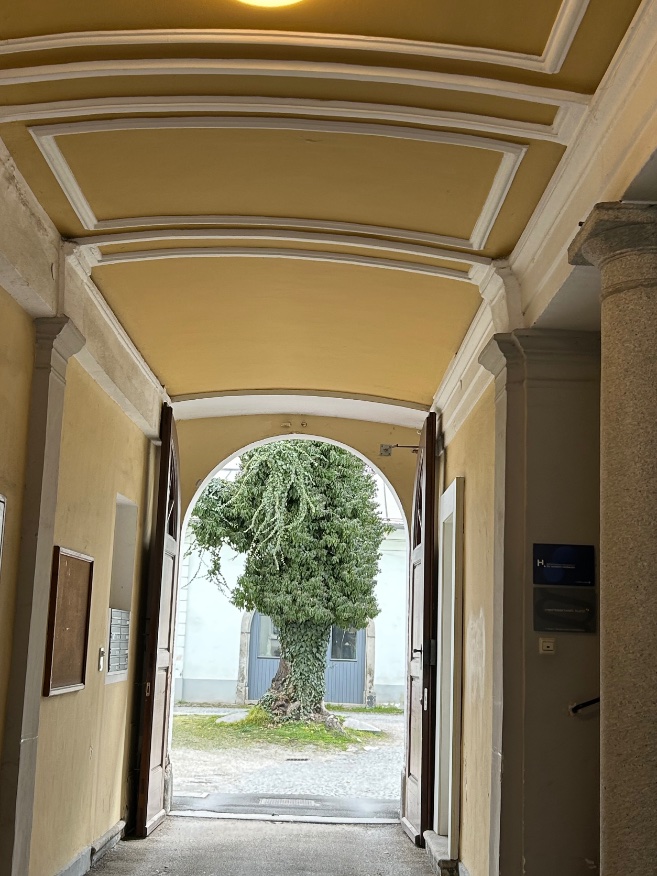 Beate K. tweet media