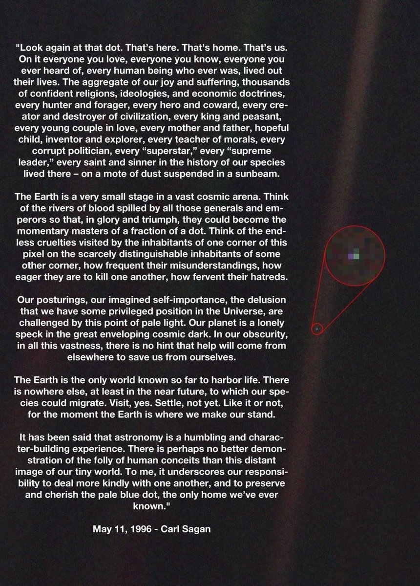 grace, glitched tweet media