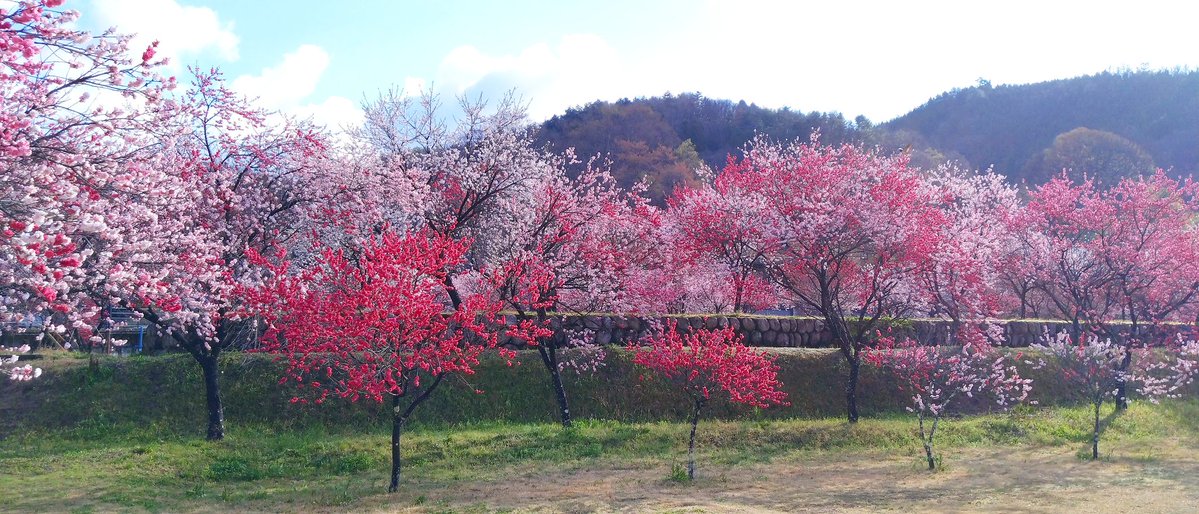 ゆーえぬ tweet media