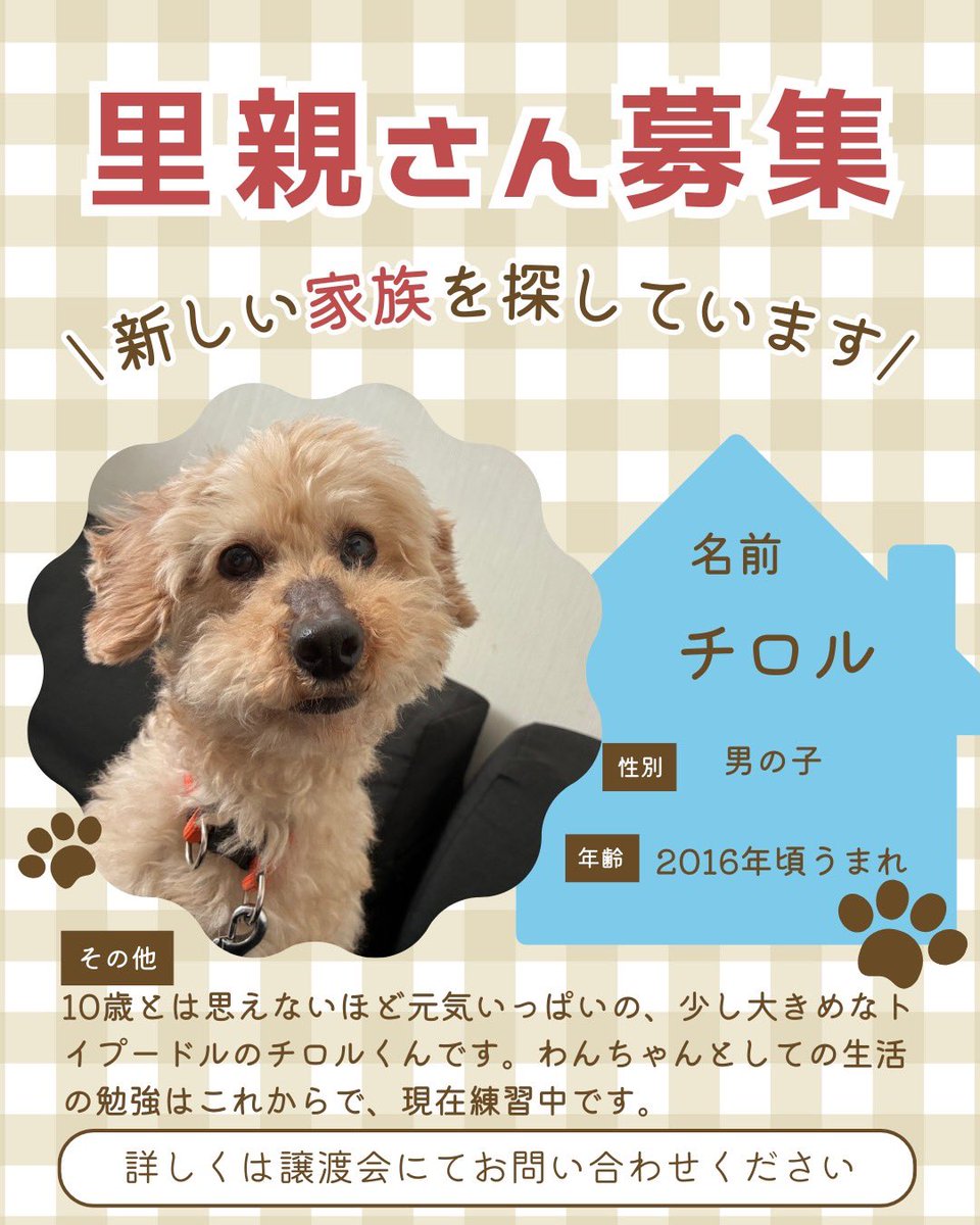 町田動物愛護の会 tweet media