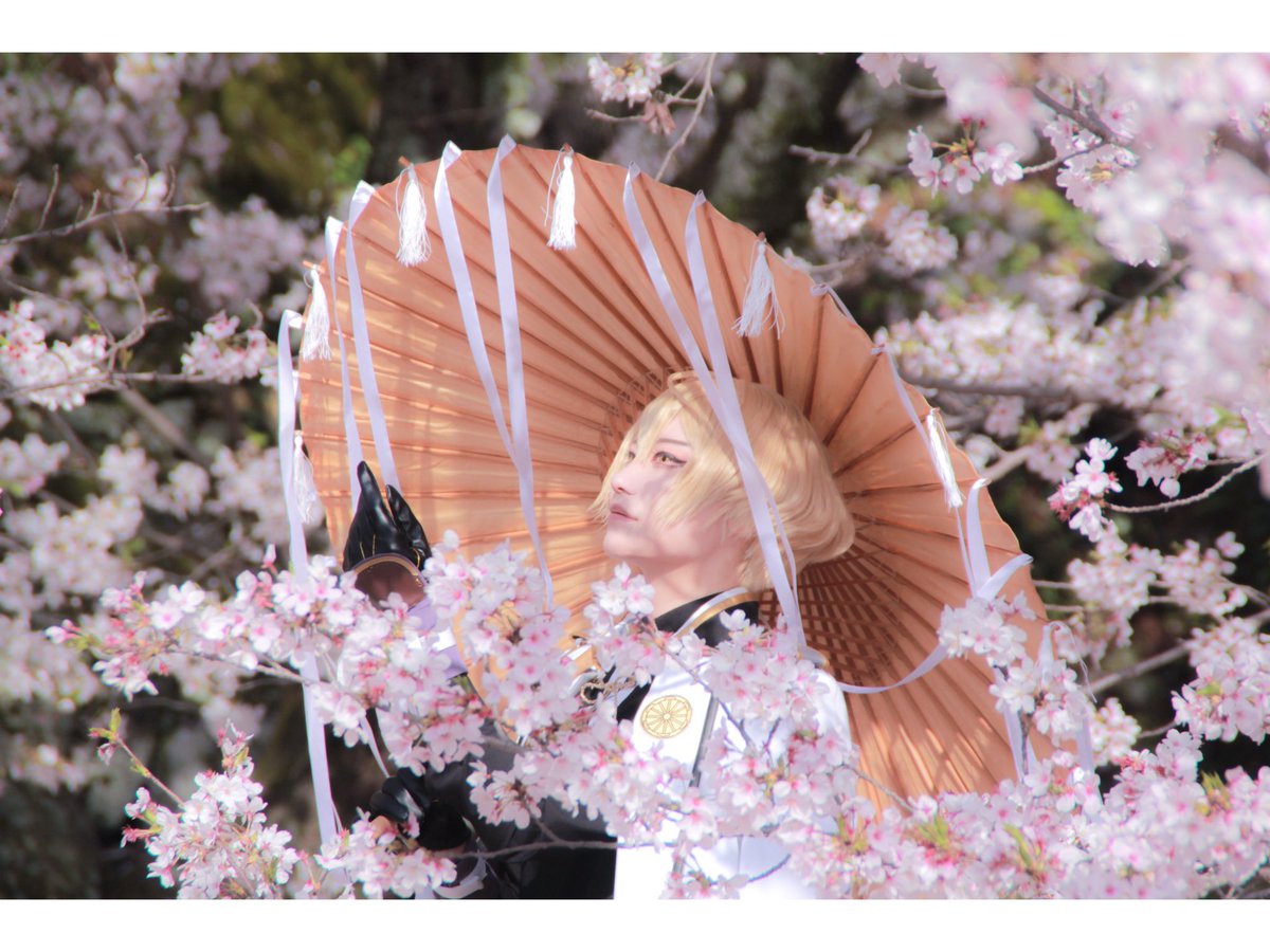 ゆいか🦁 tweet media