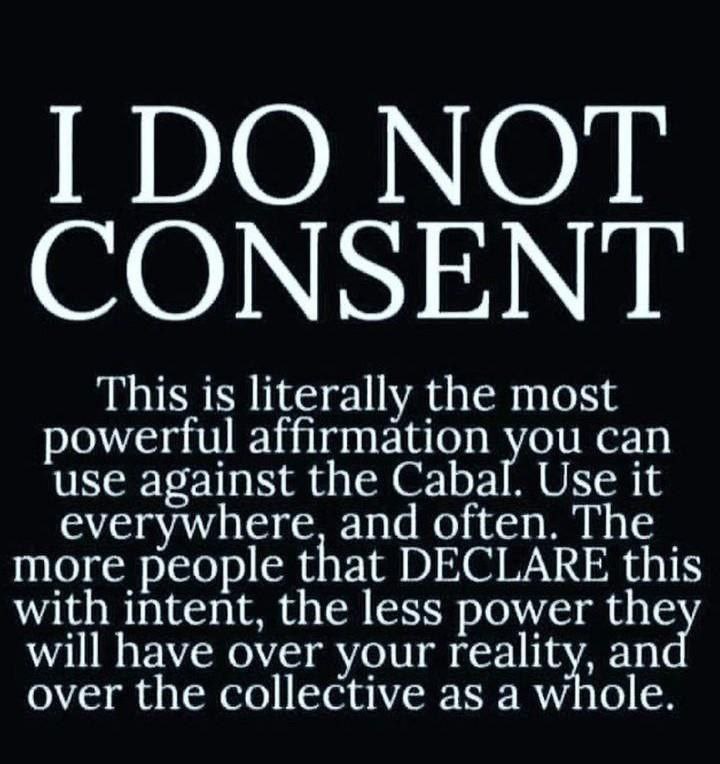 rabbitholebot tweet media