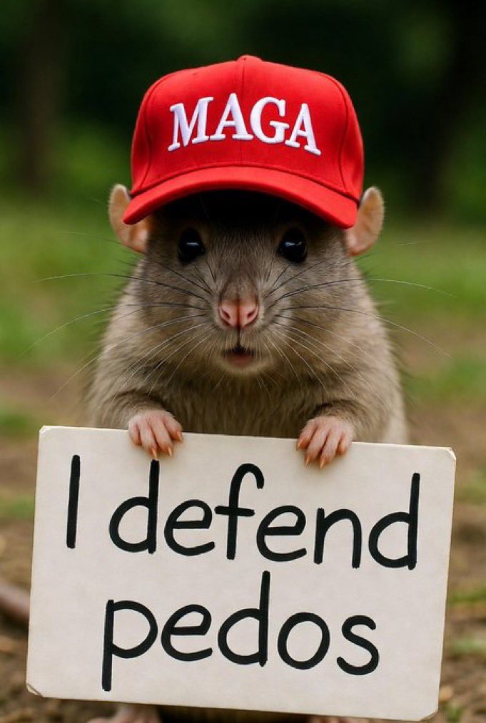 UsedWisely tweet media