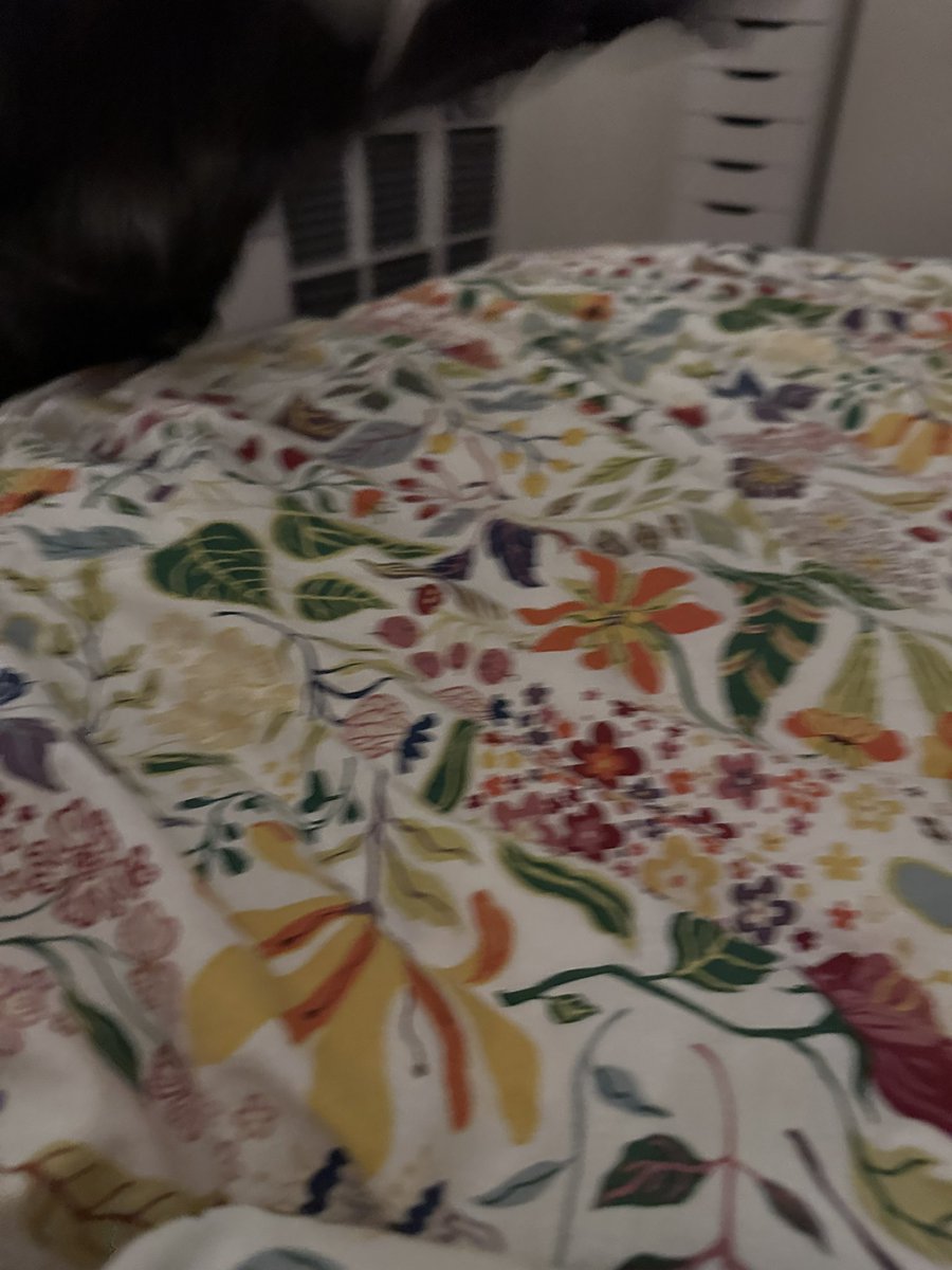 しゃも&あずき先生&うずらまめ姉妹 tweet media