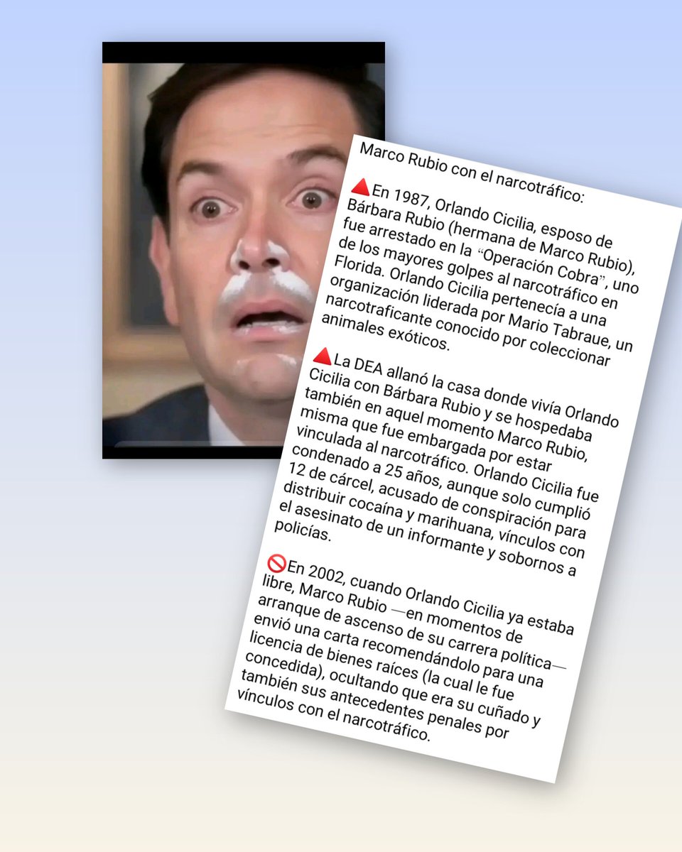 Amor Perruno tweet media