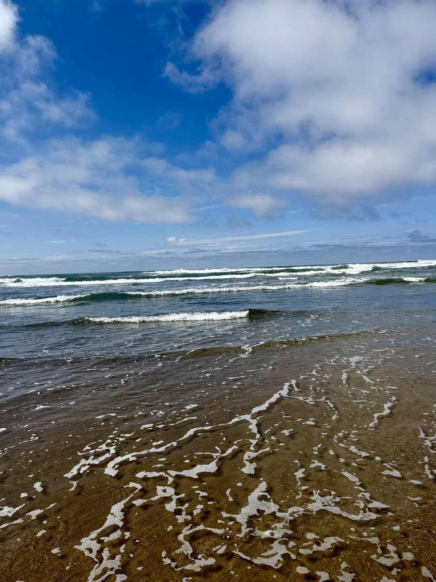 Shall Not Be Civil™ tweet media