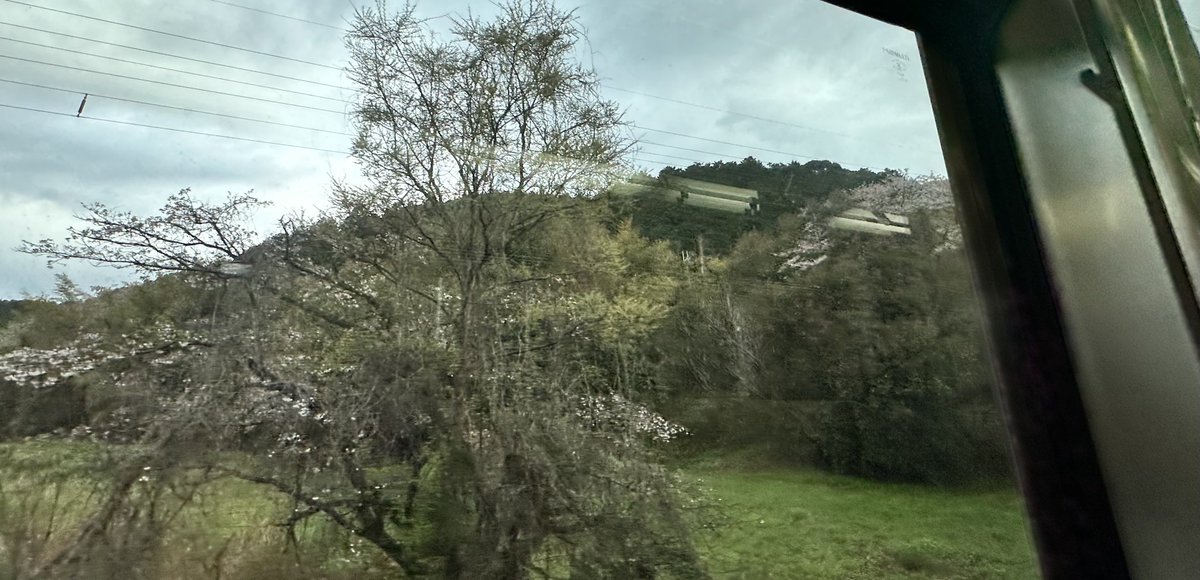 たかちゃ☆🐬🌸🐬 tweet media