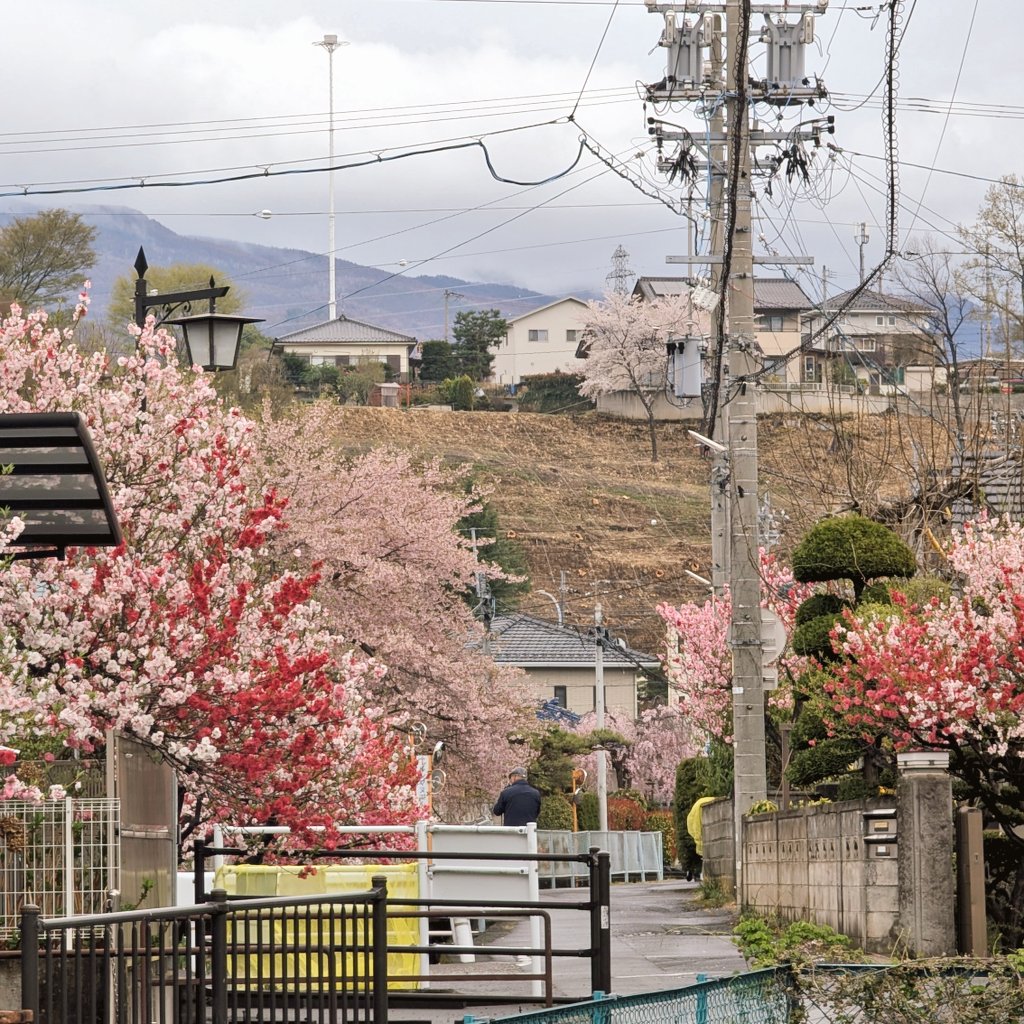 おいでよ上田　🏔️🏔️🏯🏔️🏔️　🏔️🌉🚞🌉🏔️♨️🏔️ tweet media