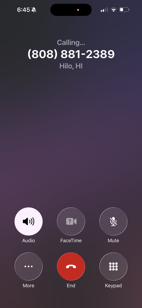 angelo☆ tweet media