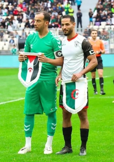 RebeuDTR 🇩🇿 tweet media
