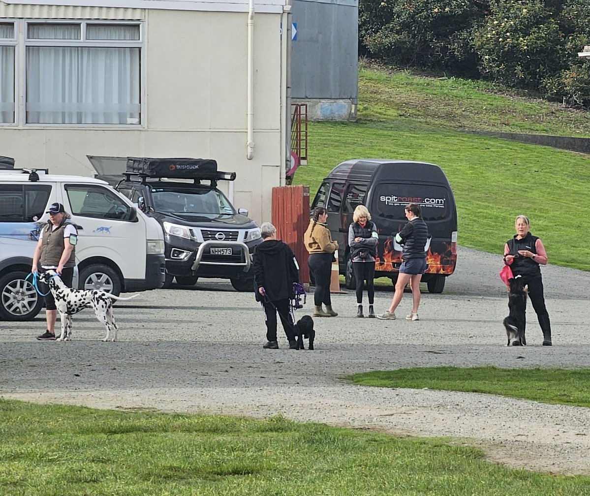 이게 대체 무슨 일이야 tweet media