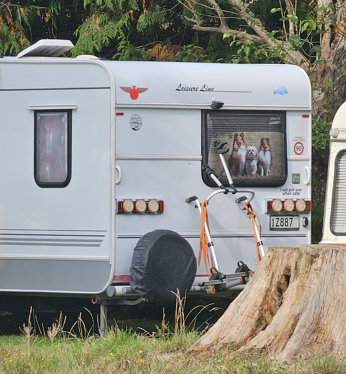 이게 대체 무슨 일이야 tweet media