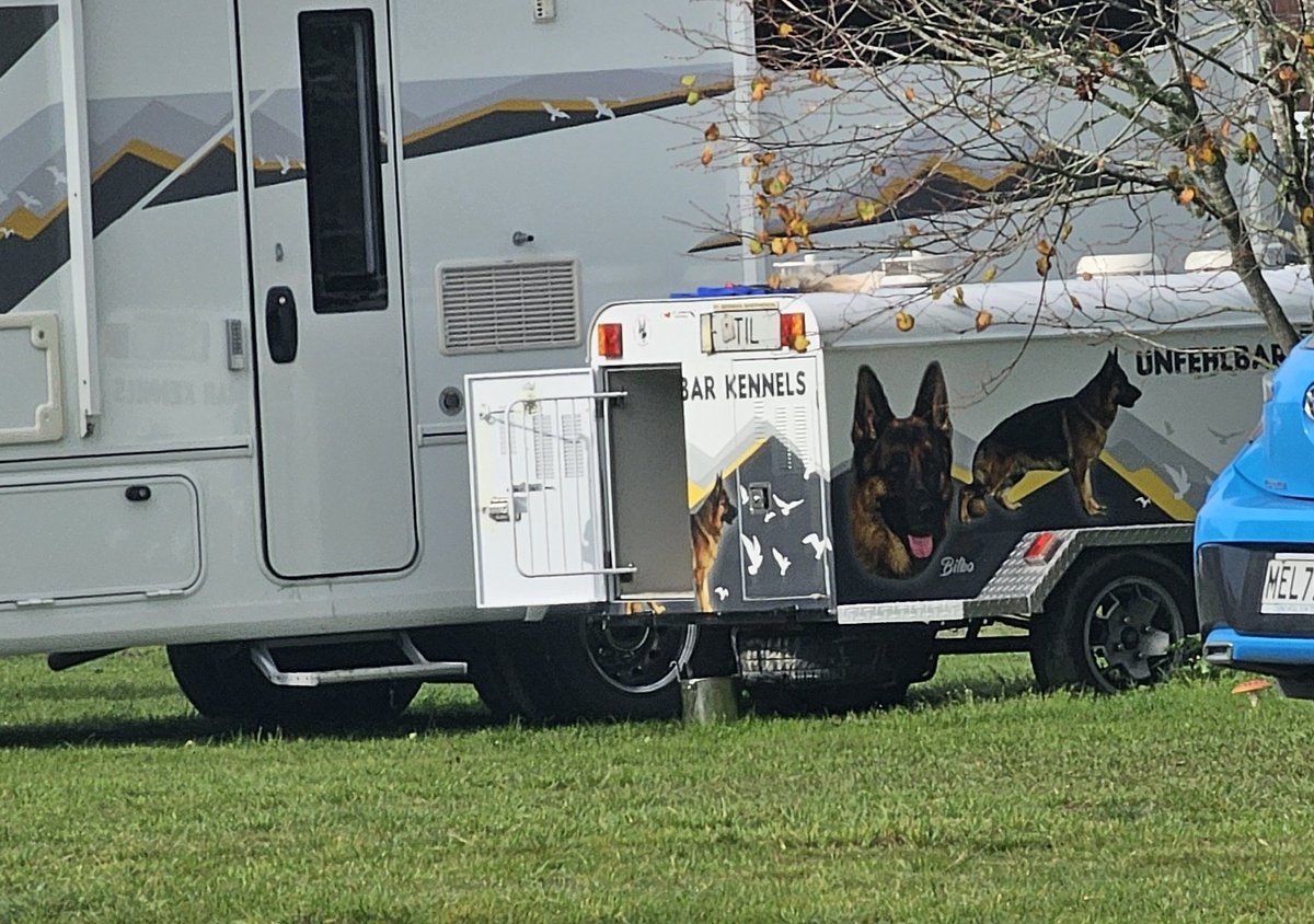 이게 대체 무슨 일이야 tweet media