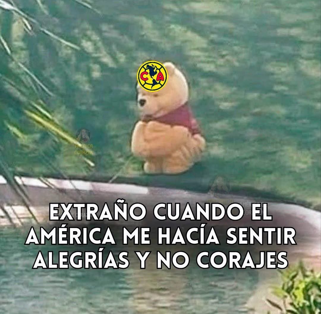 Magdalena Marín tweet media