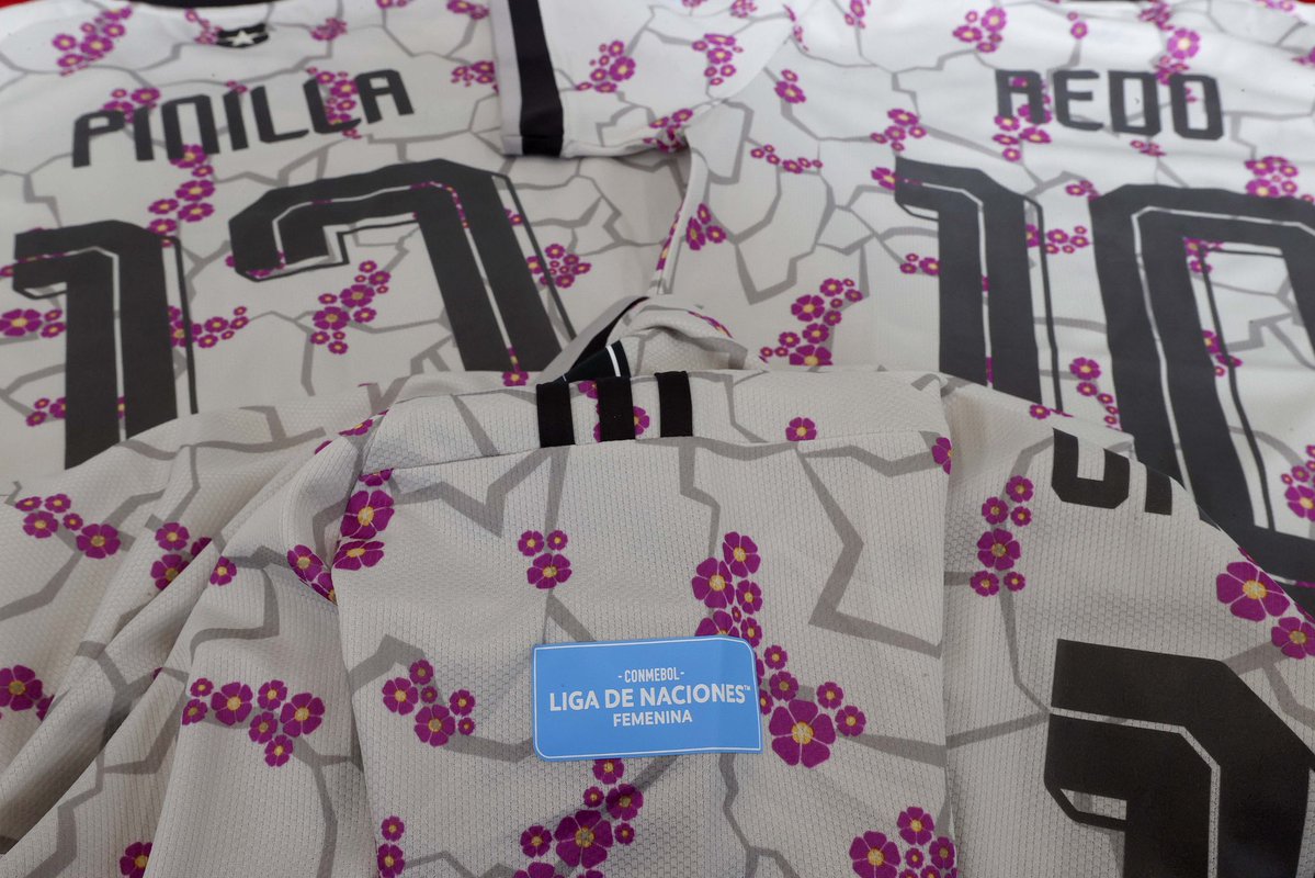 Selección Chilena tweet media