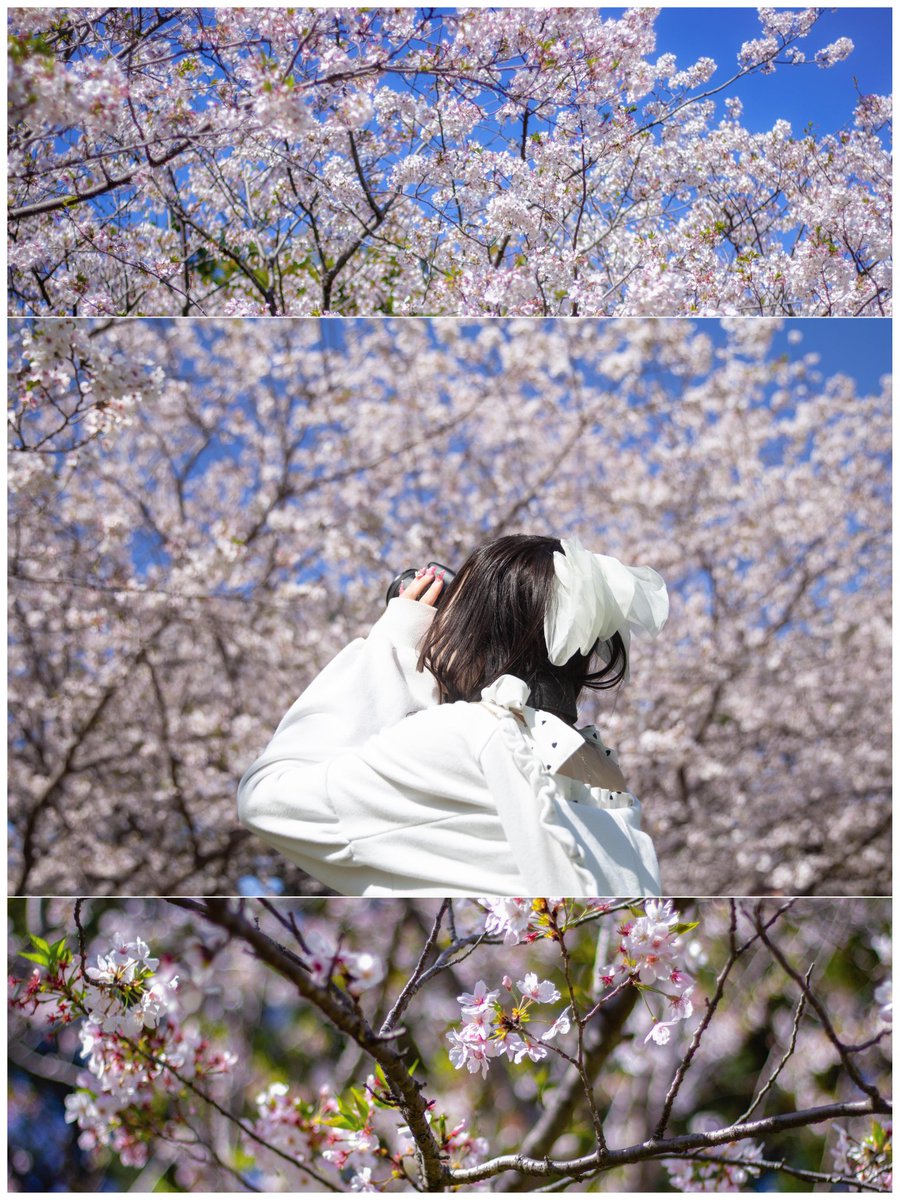 ★Koh🐎(コウ)👼 tweet media