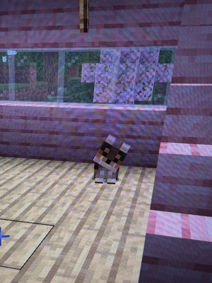 em ✮⋆˙ tweet media