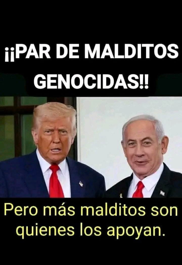 Amor Perruno tweet media