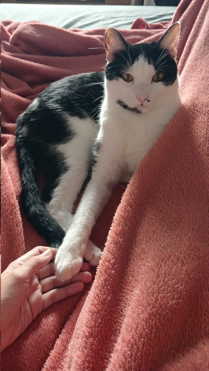 Musa do Proletariado 💕 tweet media