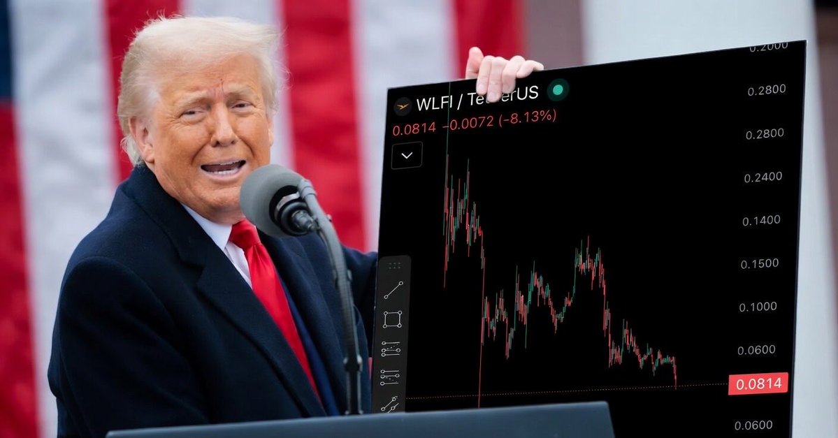 Pickle Cat tweet media