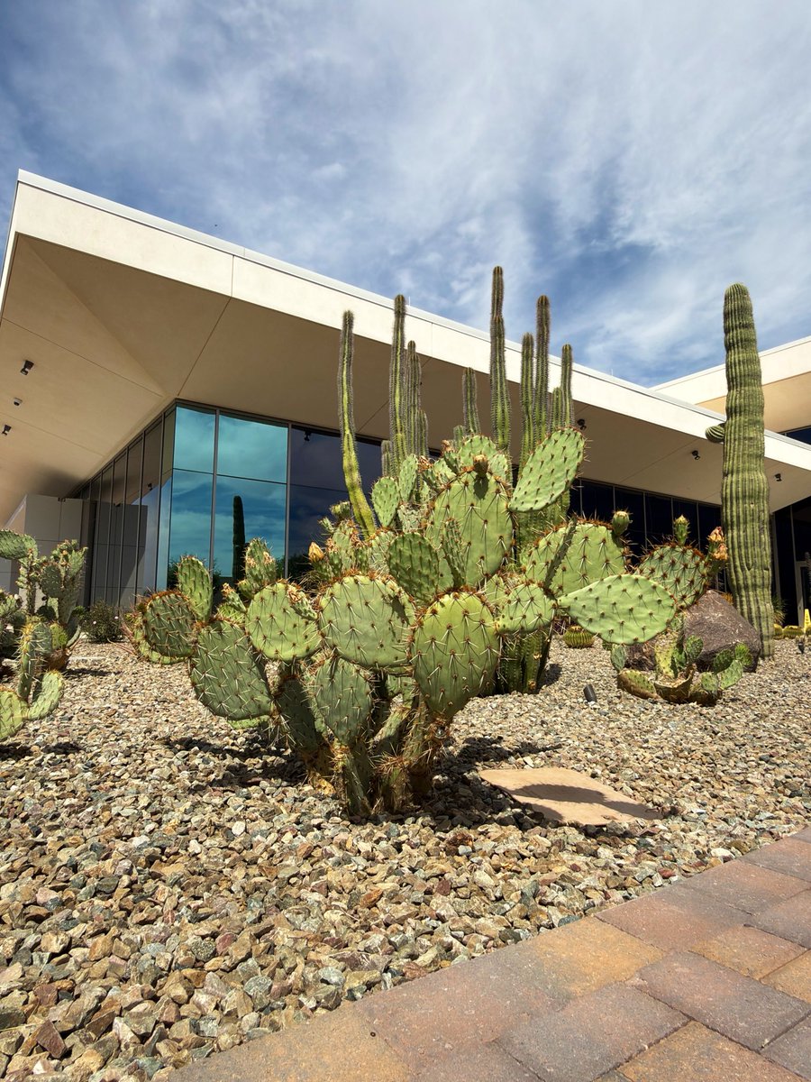 Jazz Fatal tweet media