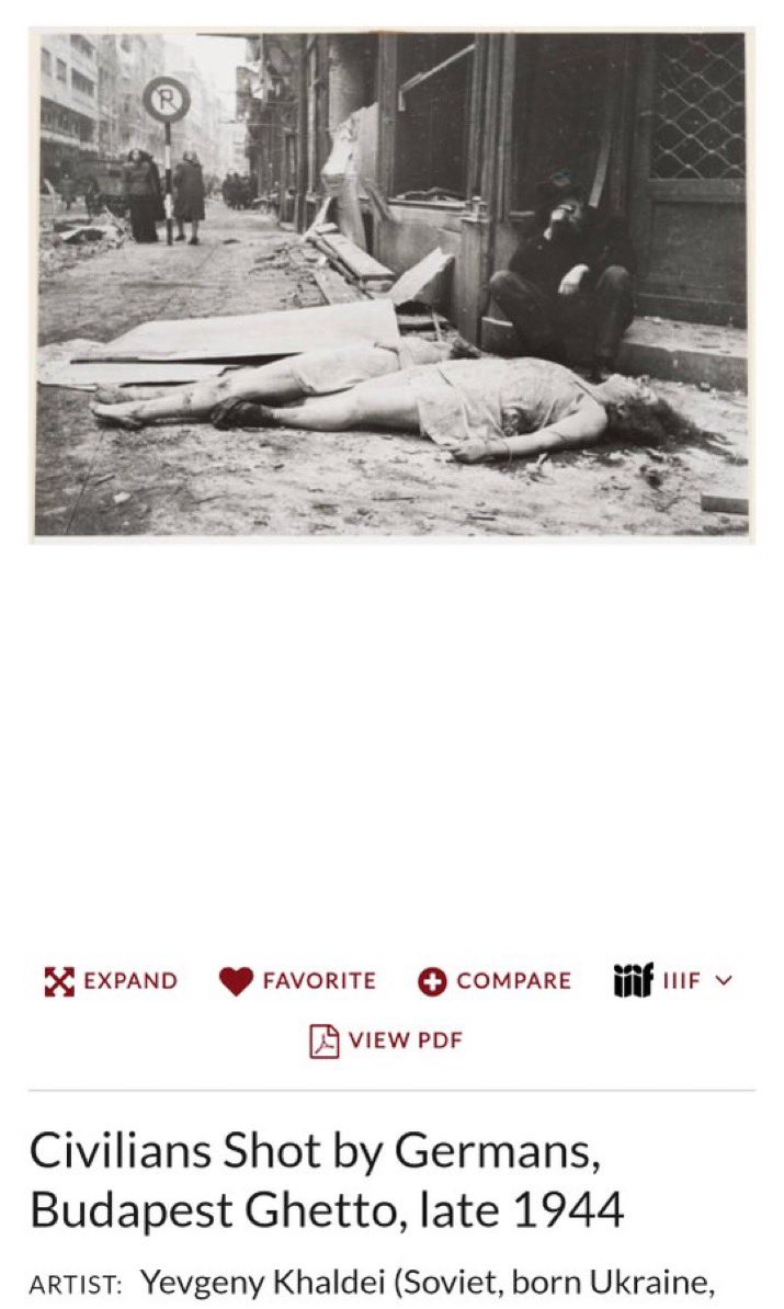 $€X🐍 tweet media