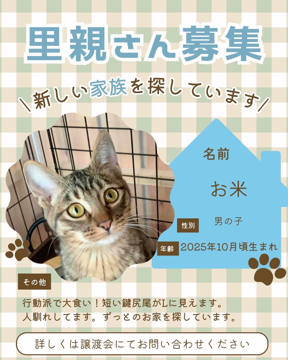 町田動物愛護の会 tweet media