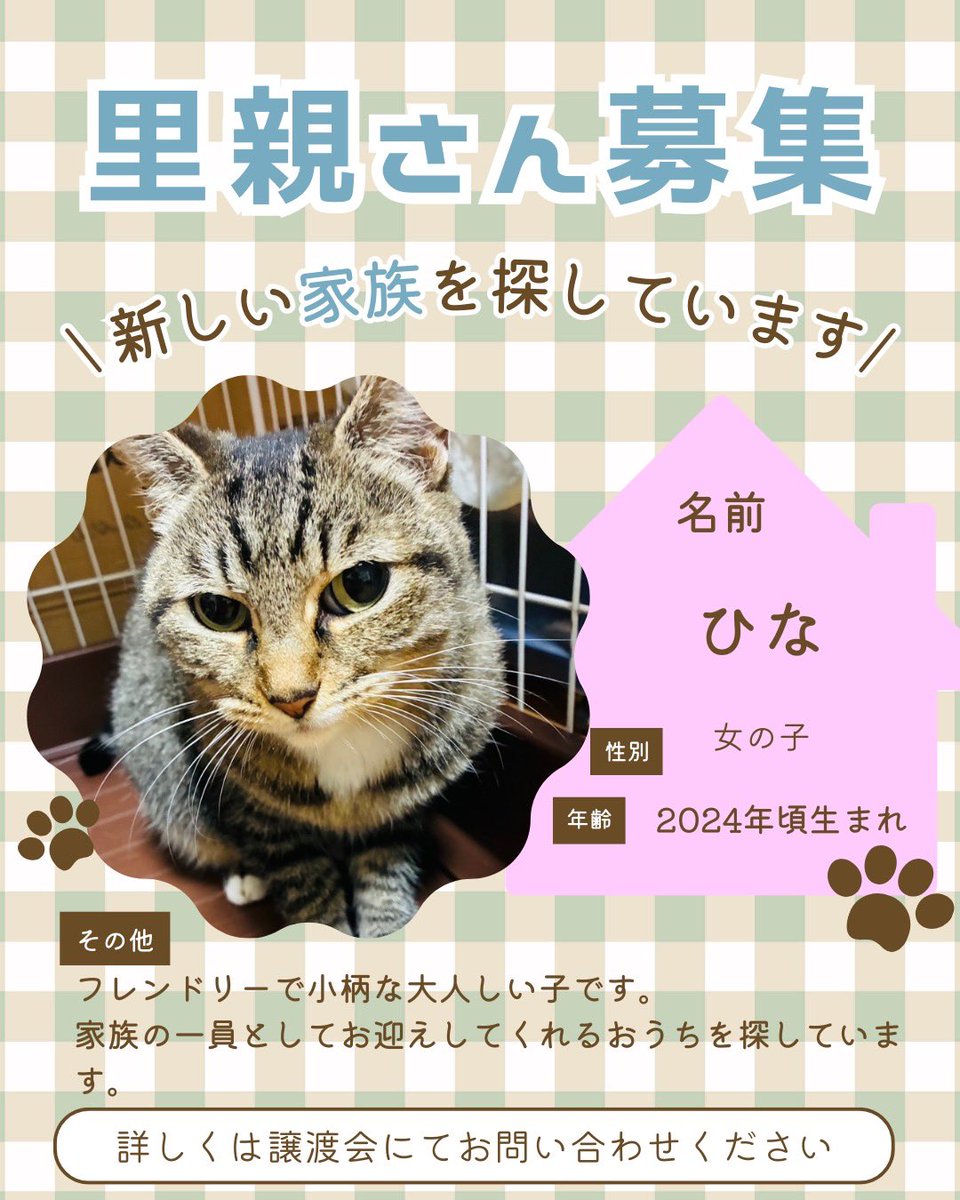 町田動物愛護の会 tweet media