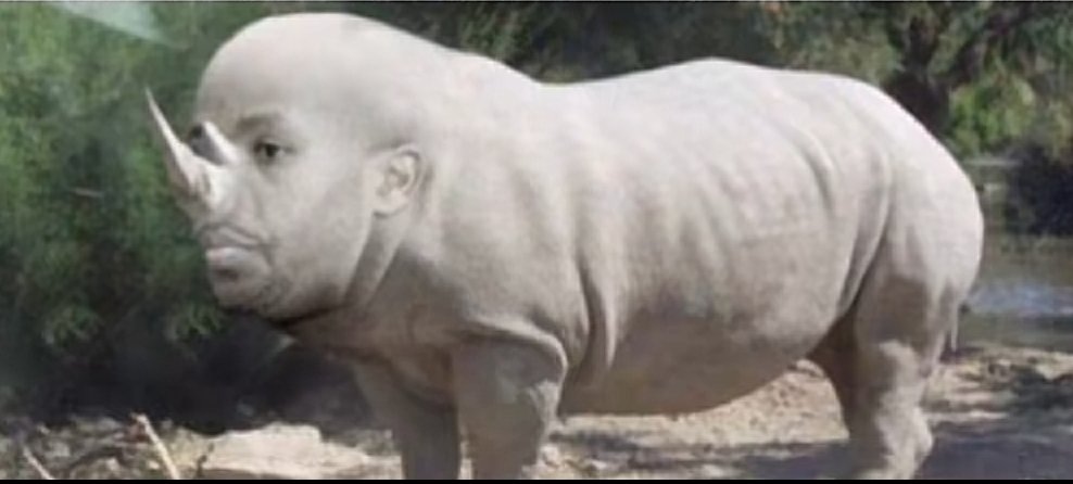 𝘽𝙞𝙡𝙖𝙡ᘜ𝟐𝟒 🇩🇿🇯🇵 tweet media