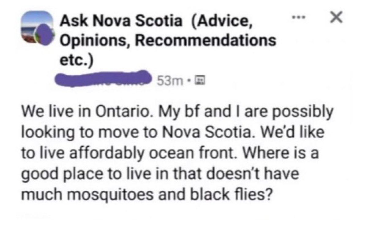 Andy Bowers tweet media