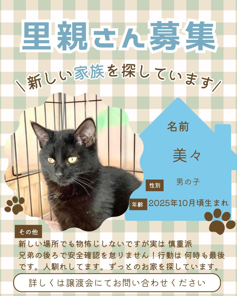 町田動物愛護の会 tweet media