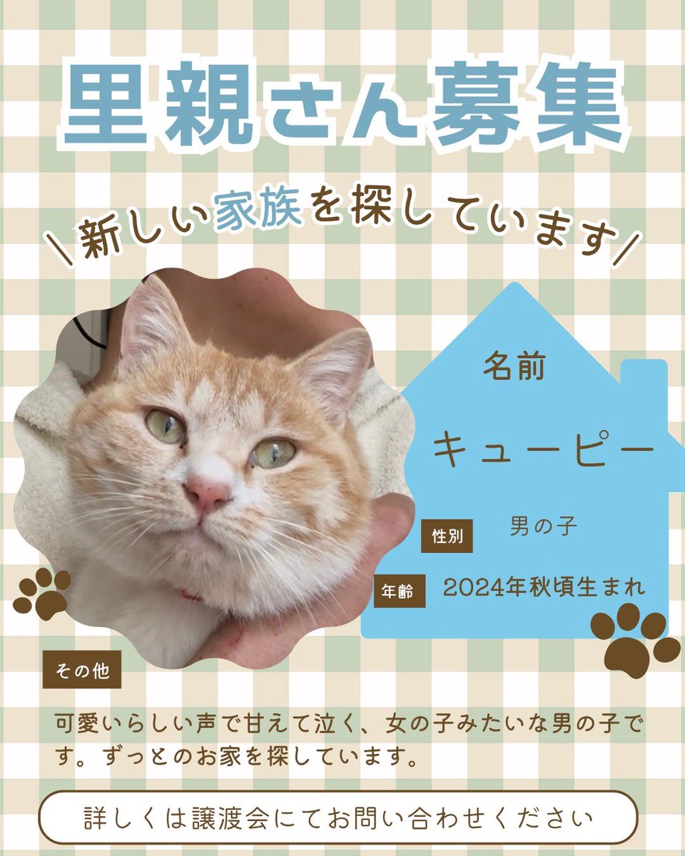 町田動物愛護の会 tweet media