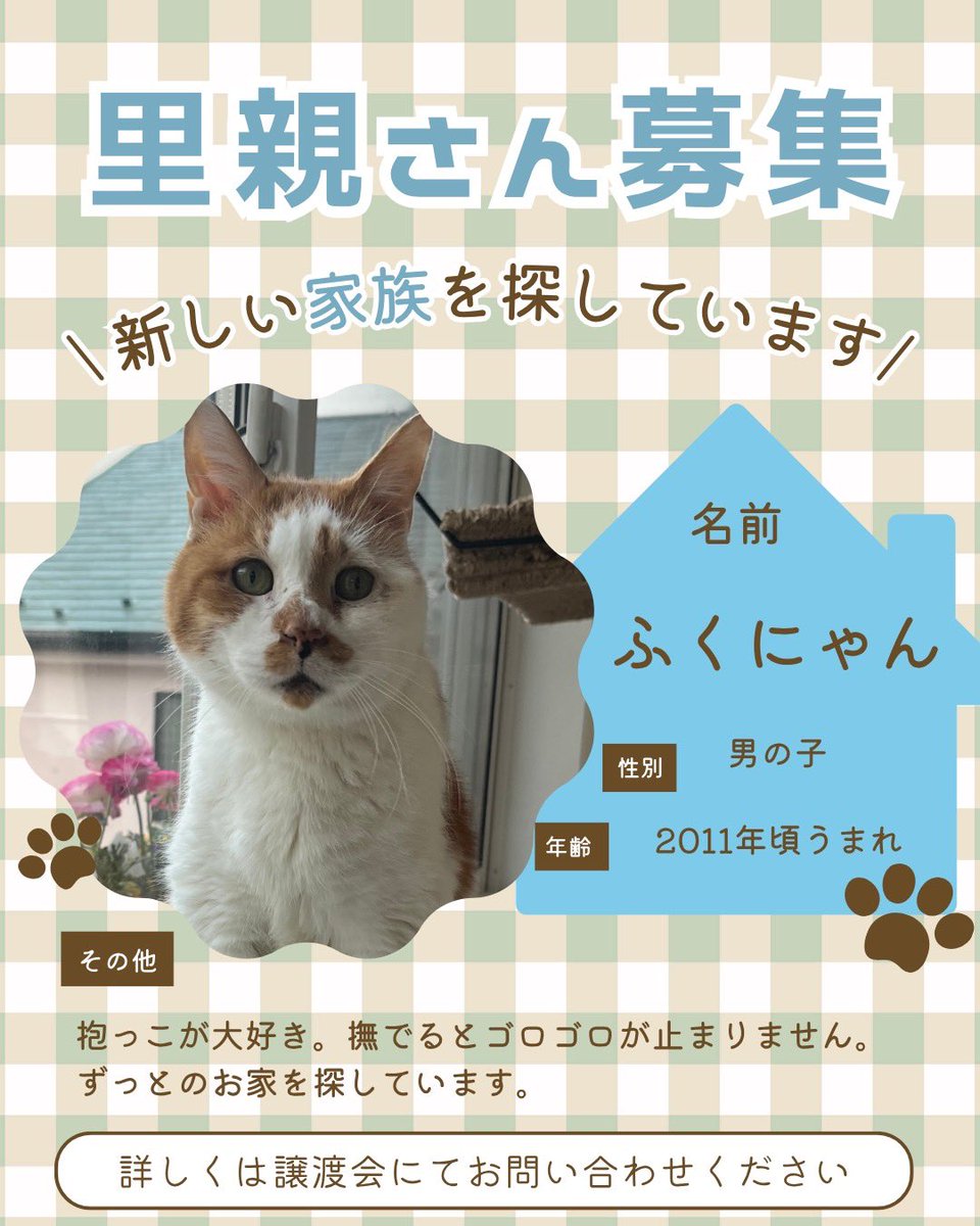 町田動物愛護の会 tweet media