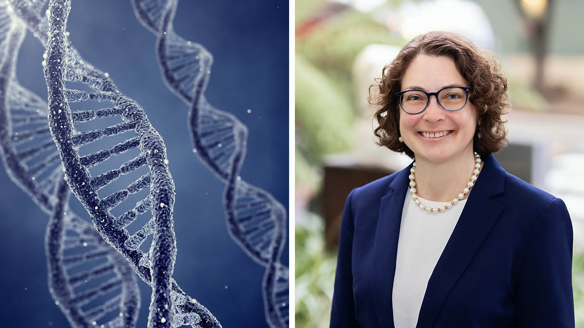 NeurosurgUCSF's tweet photo. A philanthropically supported phase 1 clinical trial led by @UCSFHospitals neuro-oncologist Jennifer Clarke, MD, MPH, shows that a personalized treatment strategy with multiple targeted therapies is feasible for recurrent #glioblastoma: https://t.co/mPsmRKlOS8
#PrecisionMedicine https://t.co/MIfUoSuBAu