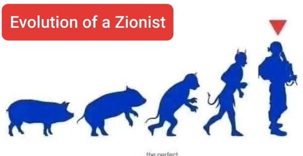 PATOLINGEN's tweet image. #CERDO 🐷🐽 #PEDOFILO #TERRORISTA 🏴‍☠️🔥💀💩