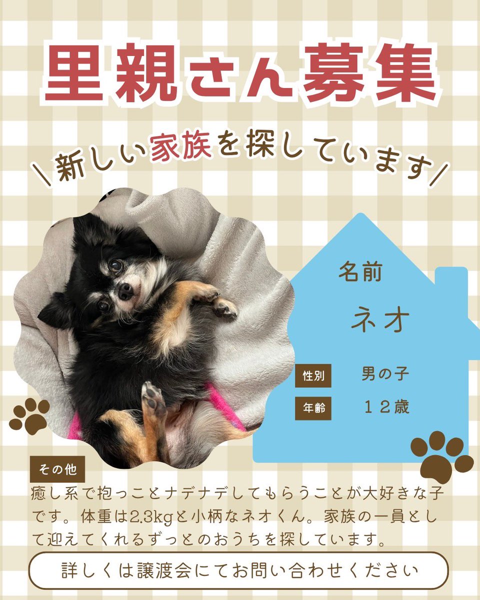 町田動物愛護の会 tweet media