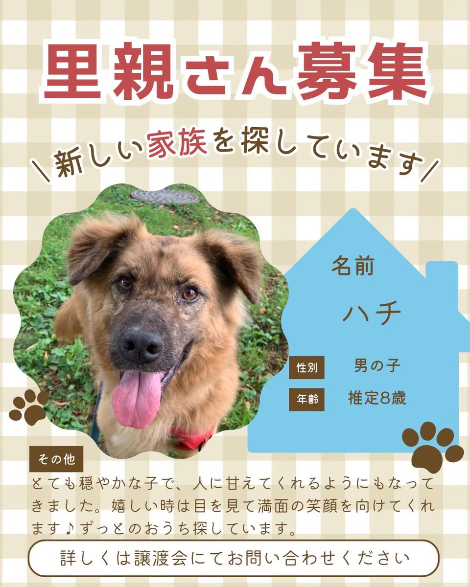 町田動物愛護の会 tweet media