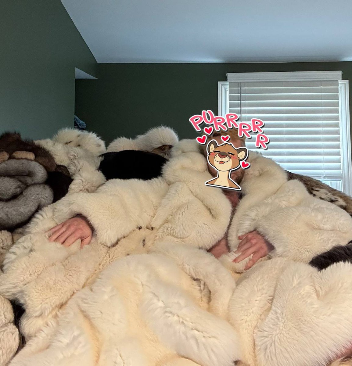 Scotch 🔜 FWA tweet media