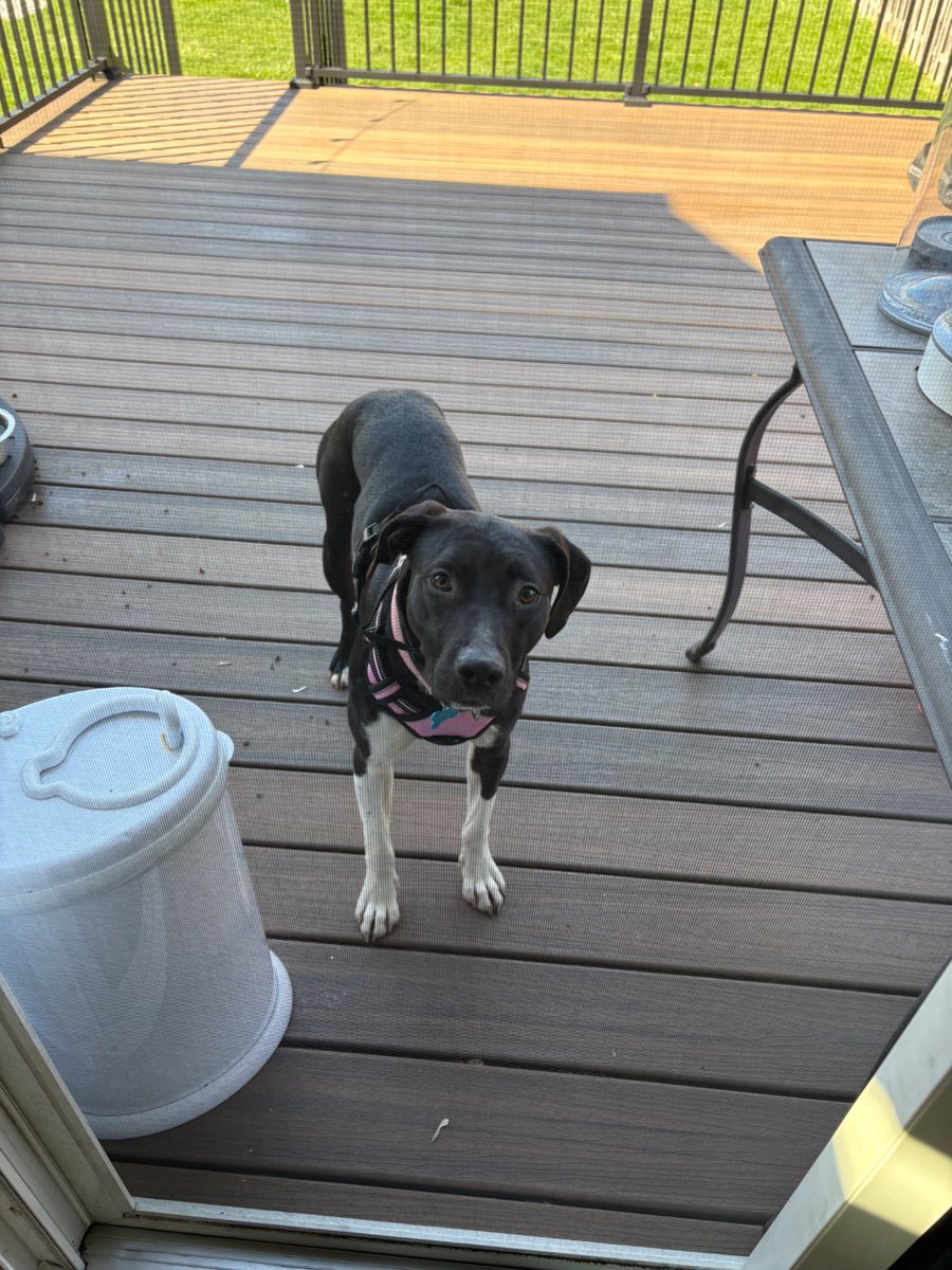 Robert Mays tweet media