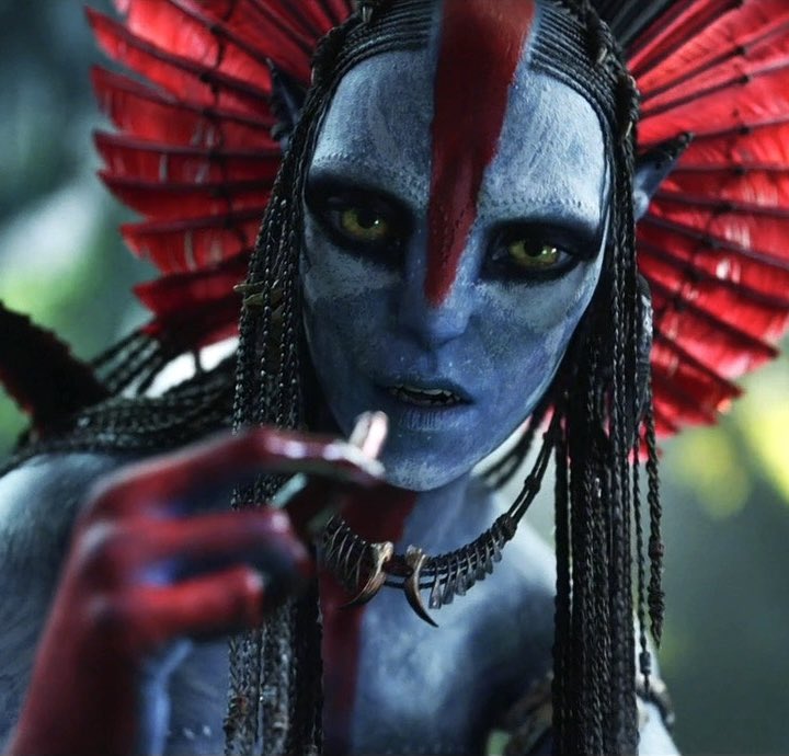 daily varang tweet media