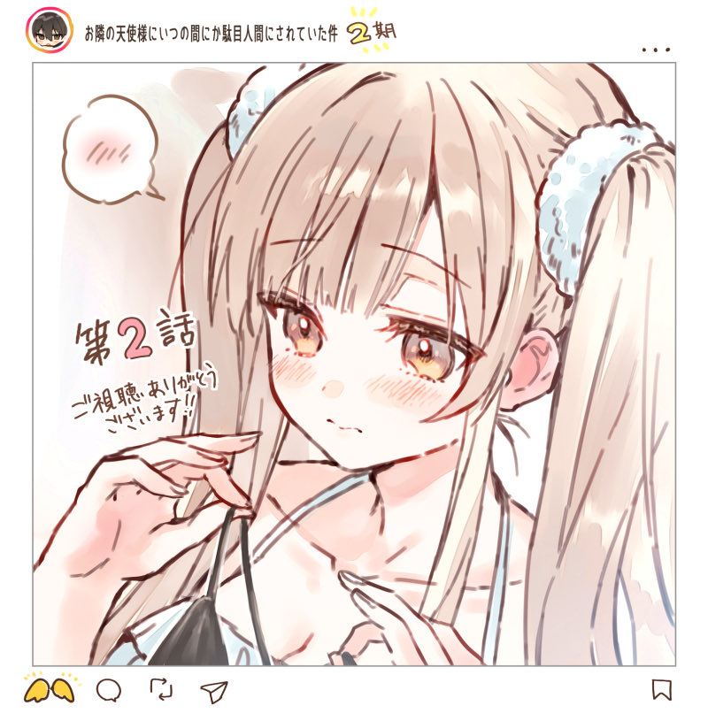 はねこと🌻 tweet media