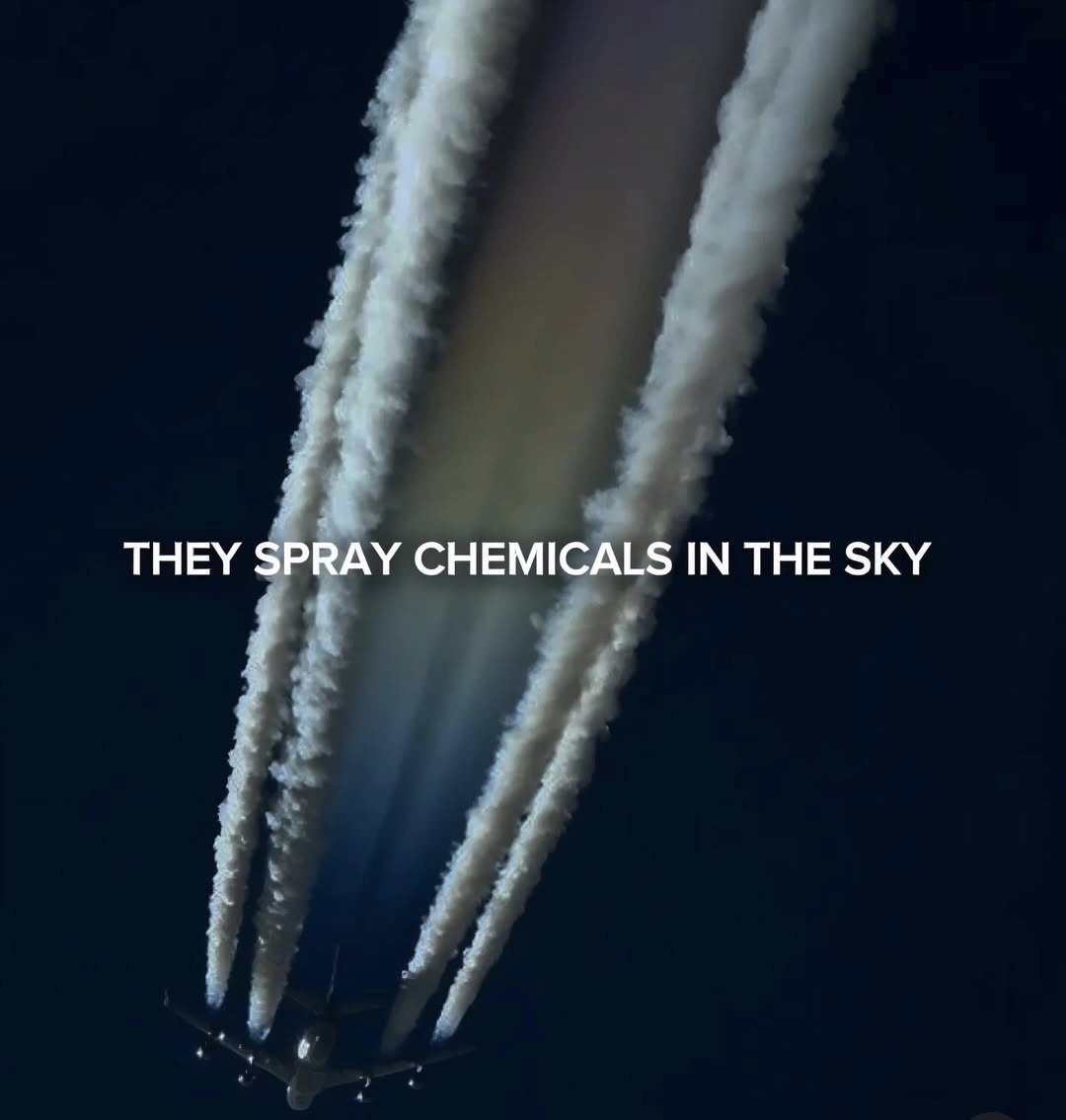 Redpill Drifter tweet media