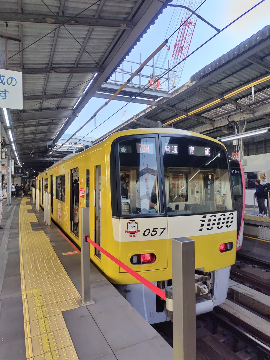 ☆まりこい☆ tweet media