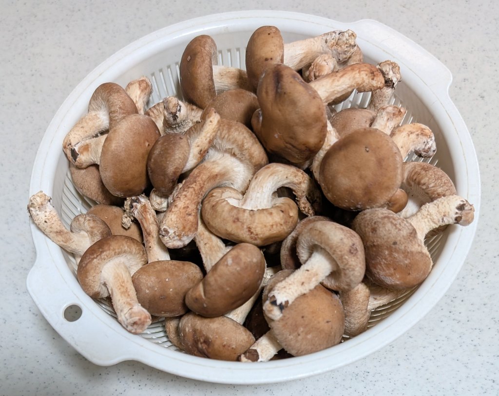 じゅんじゅん tweet media