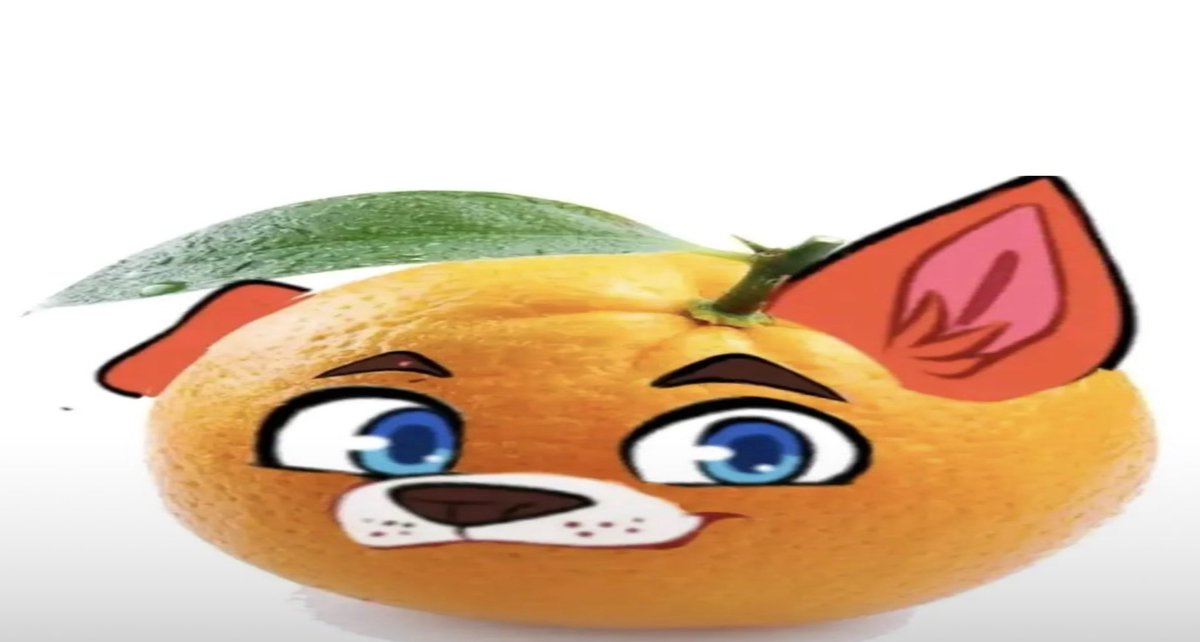 Orange Rofi tweet media