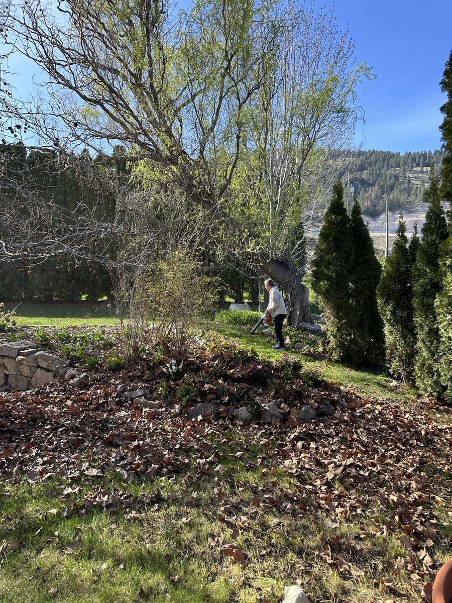 Rebecca Jay ✌🏻🇨🇦🙋‍♀️♍️ tweet media